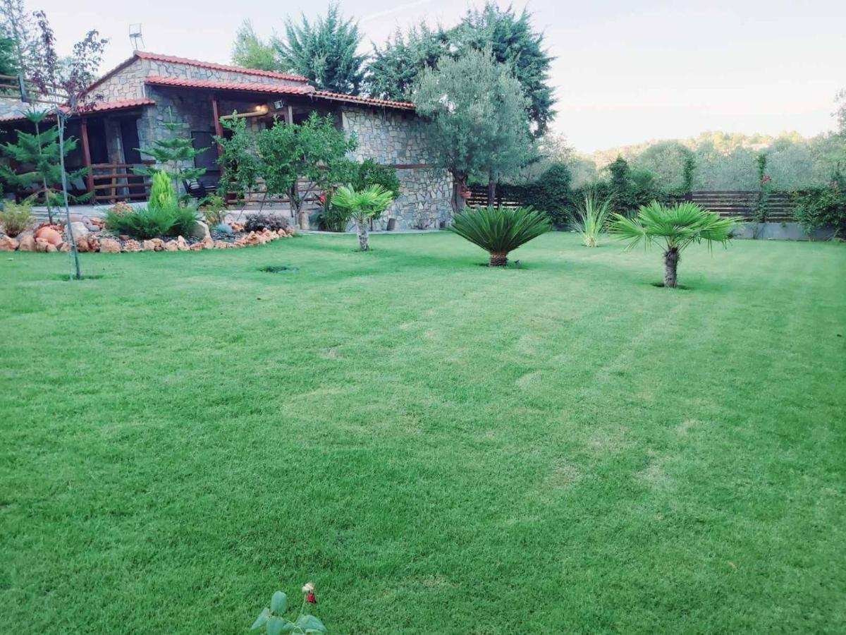 Dimitris Villas - Villa 4 Ormos Panagias Ngoại thất bức ảnh