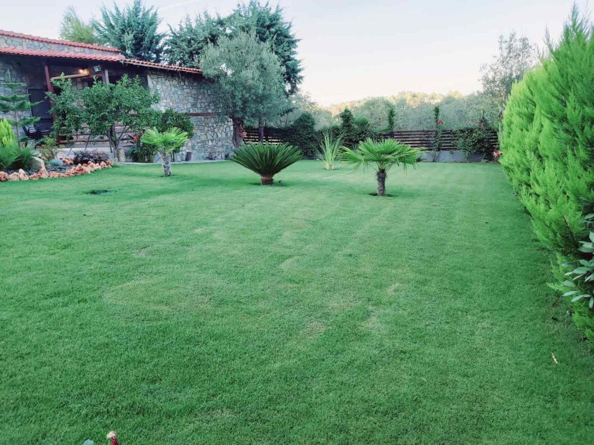 Dimitris Villas - Villa 4 Ormos Panagias Ngoại thất bức ảnh